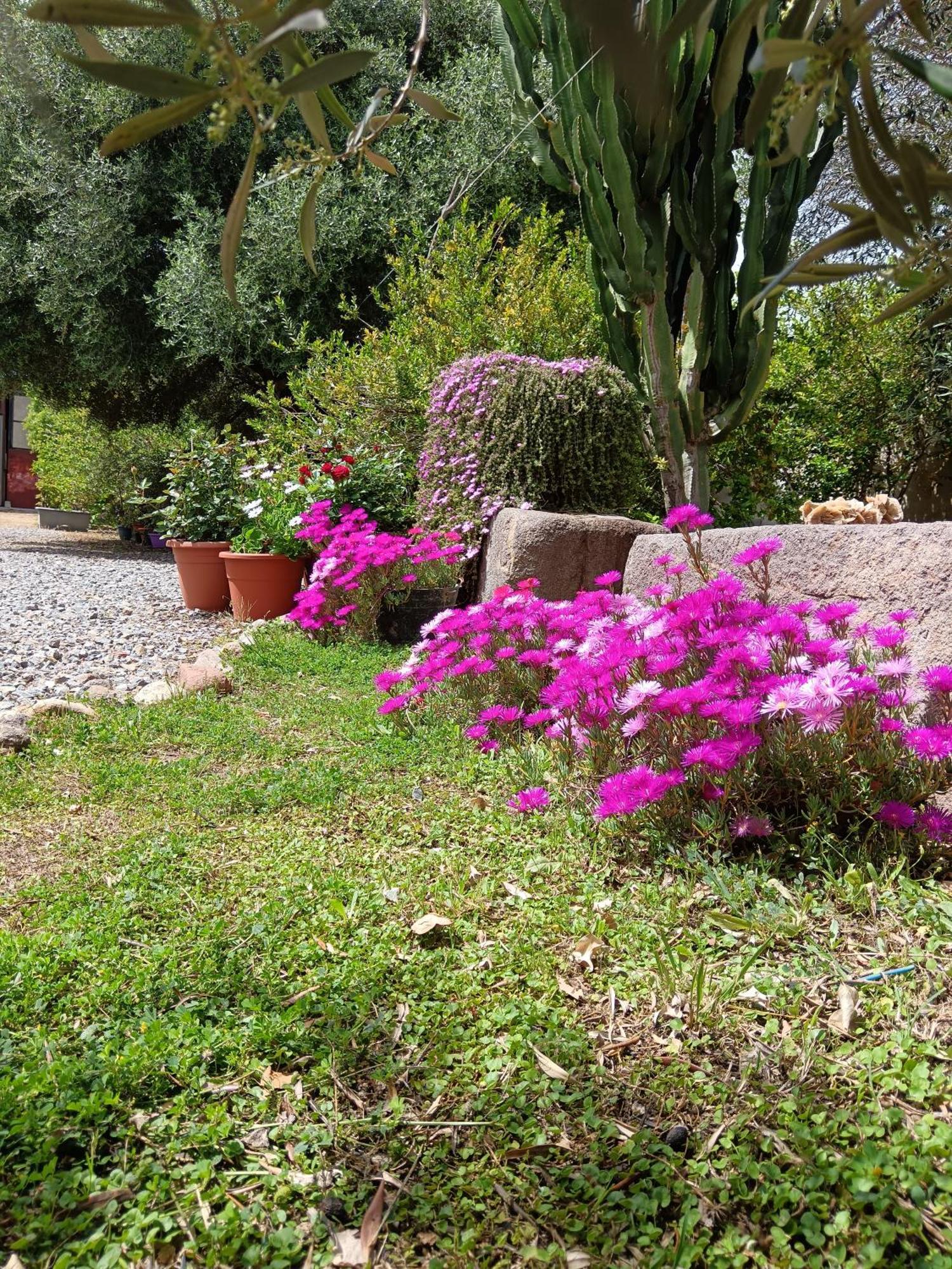 Sulcis Camere San Giovanni Suèrgiu Kültér fotó
